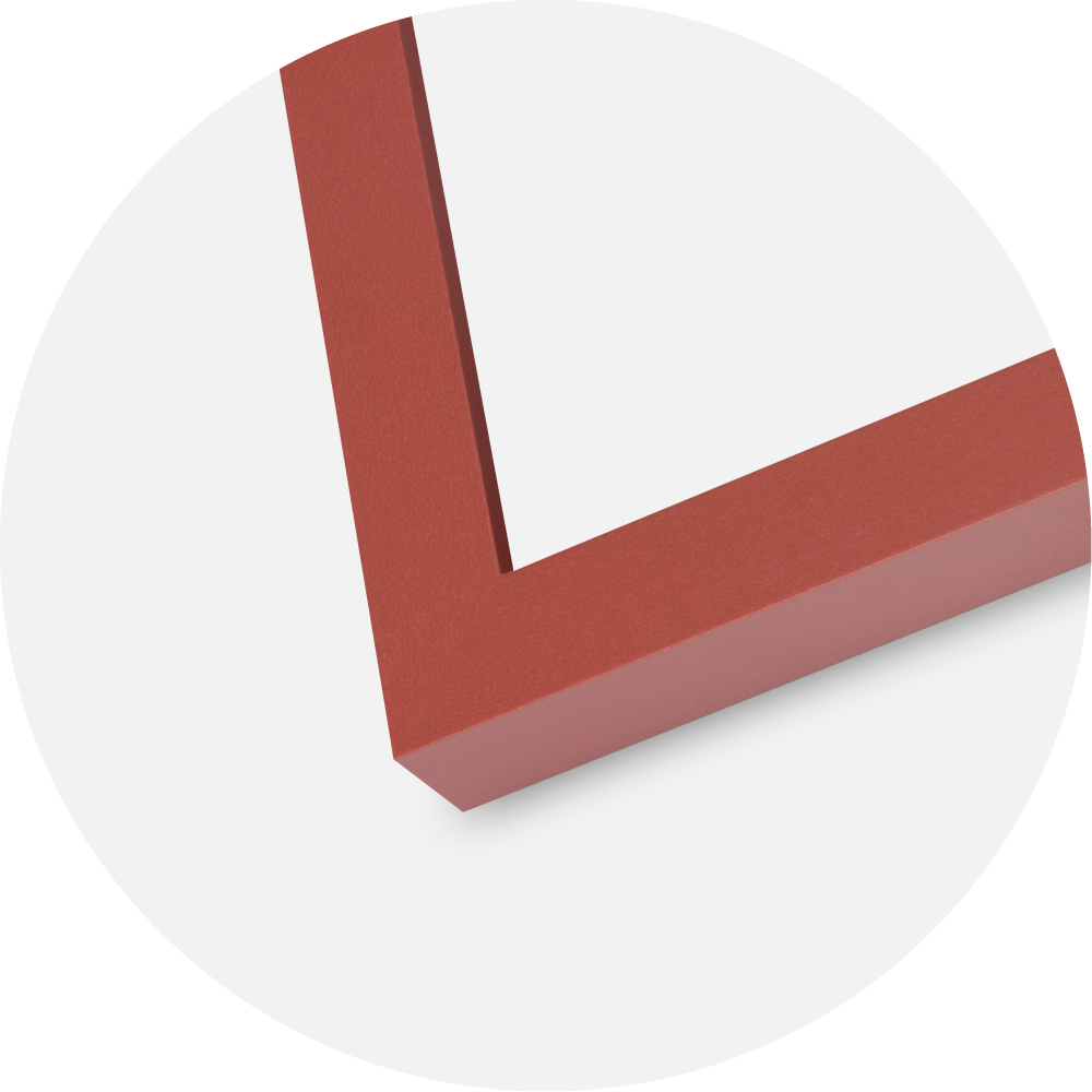 Rama Selection Szkło akrylowe Coral 21x29.7 cm (A4)