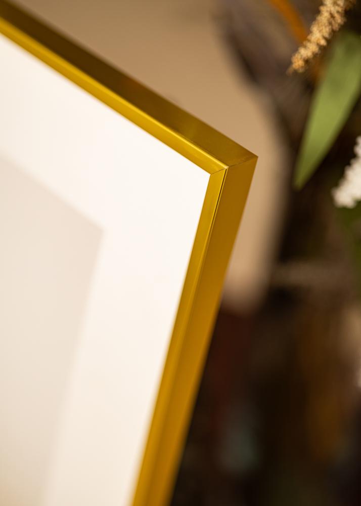 Rama aluminiowa Szkło akrylowe Złoty 61x91,5 cm