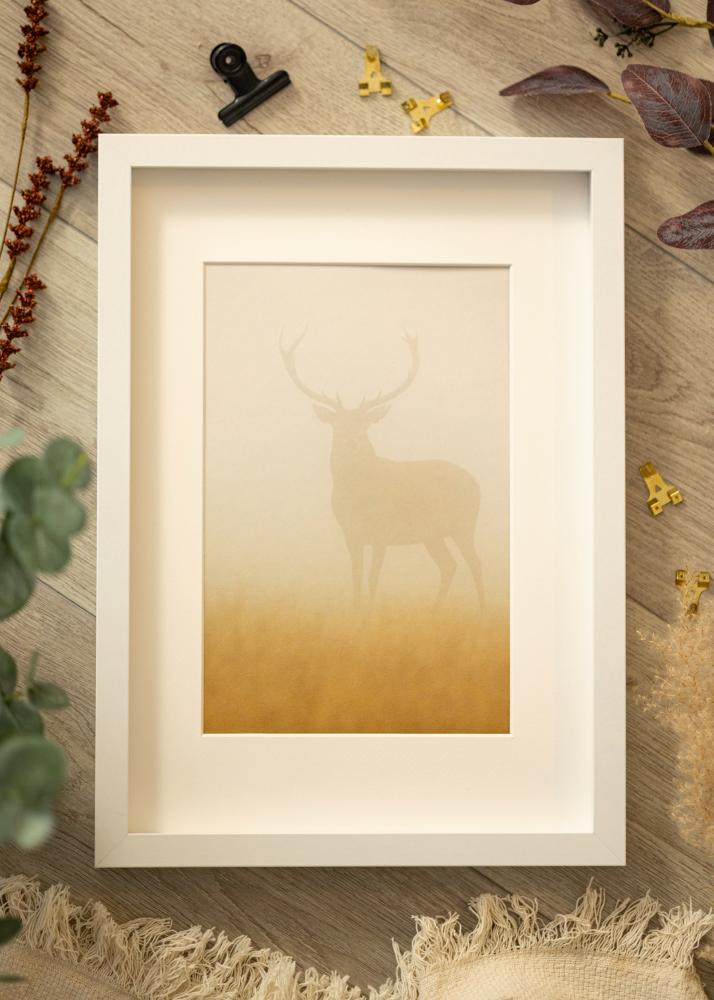 BGA Rama pudełkowa Biały 50x70 cm - Passe-partout Biały 40x60 cm