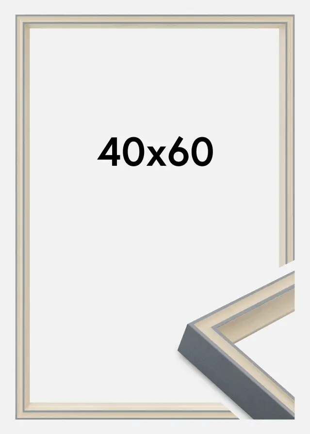 Rama Riga Szkło akrylowe Szara 40x60 cm