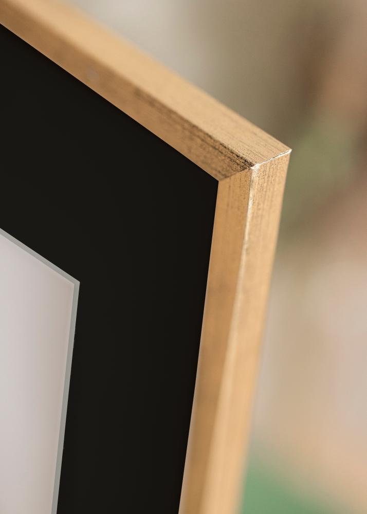 Rama Galant Złoty 40x50 cm - Passe-patrout Czarny 12x16 inches