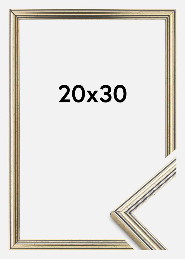 Rama Classic Srebrny 20x30 cm