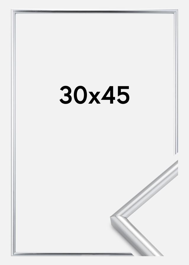 Rama Galeria Srebrny 30x45 cm