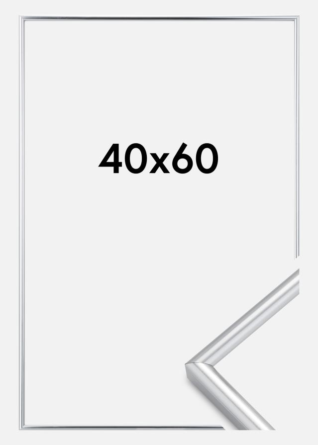 Rama Galeria Srebrny 40x60 cm