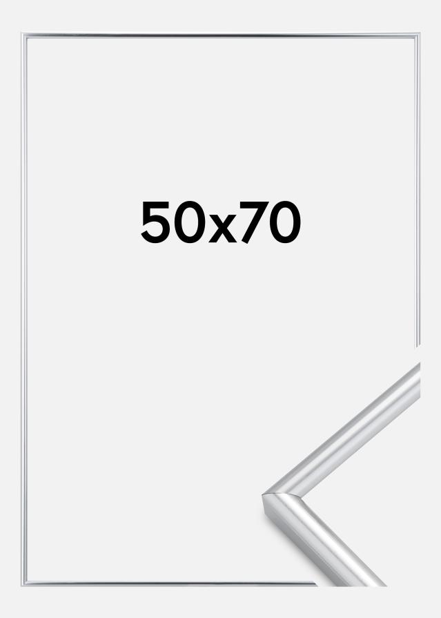 Rama Galeria Srebrny 50x70 cm