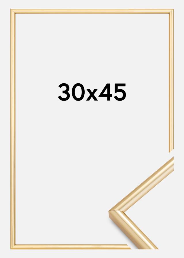 Rama Galeria Złoty 30x45 cm