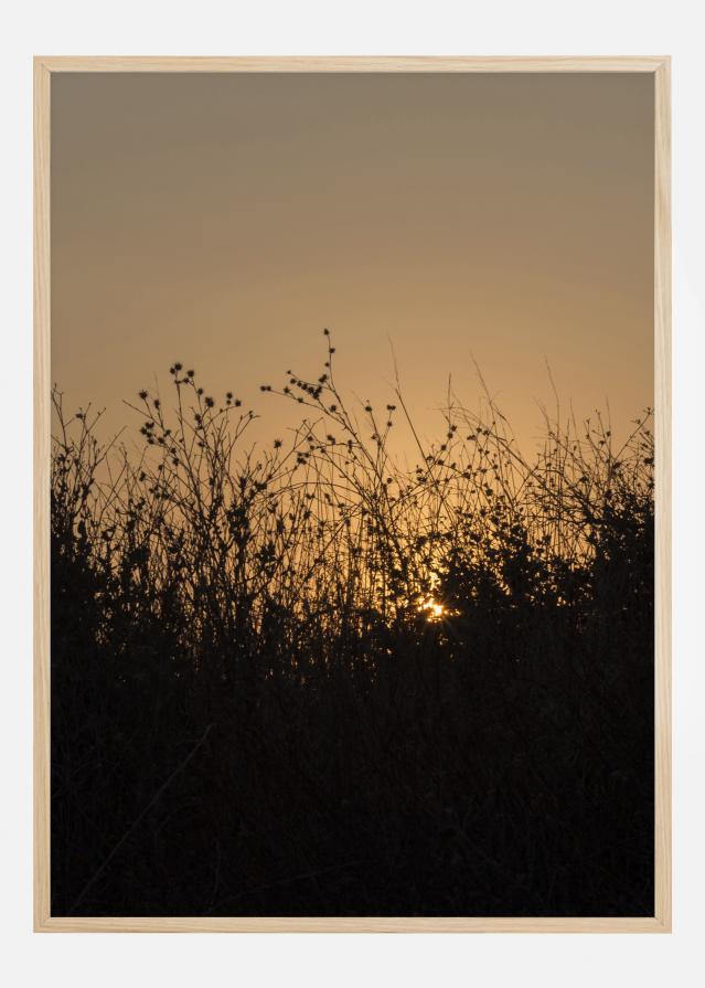 Sneak Peak On Sun Plakat