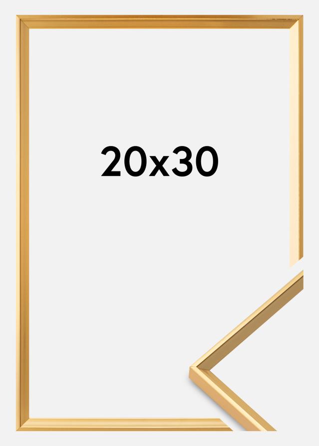 Rama Desire Szkło akrylowe Złoty 20x30 cm