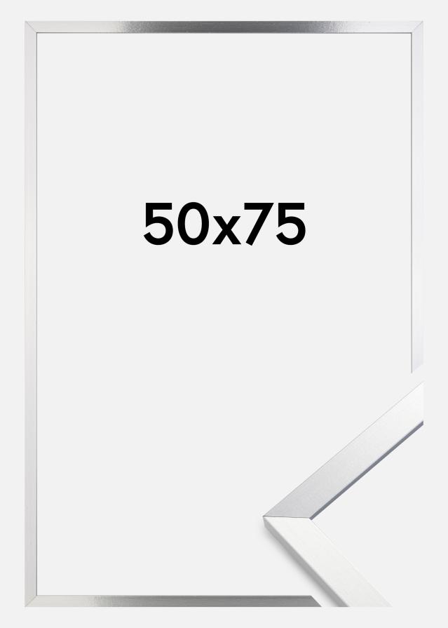 Rama Trendy Szkło akrylowe Srebrny 50x75 cm