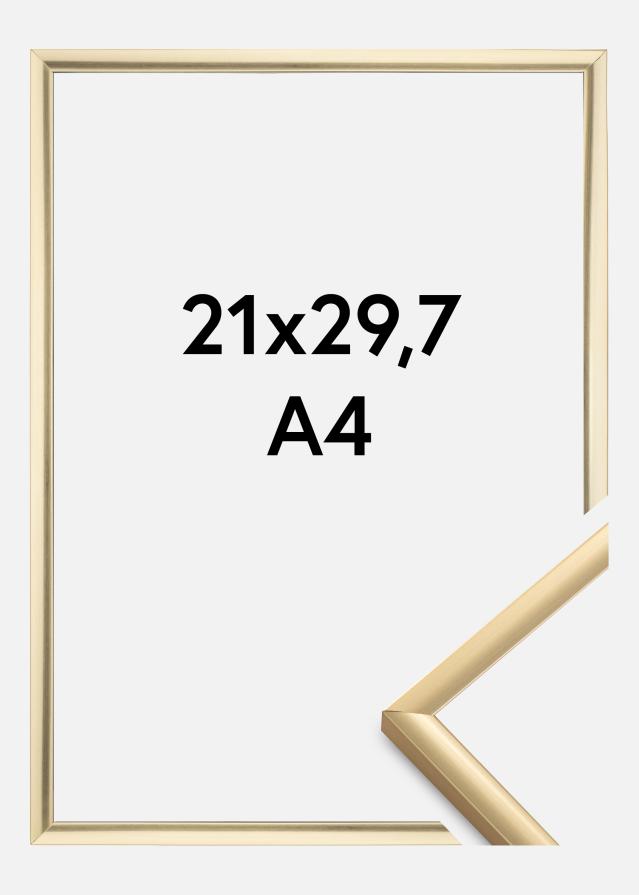 Rama New Lifestyle Szkło akrylowe Złoty 21x29,7 cm (A4)