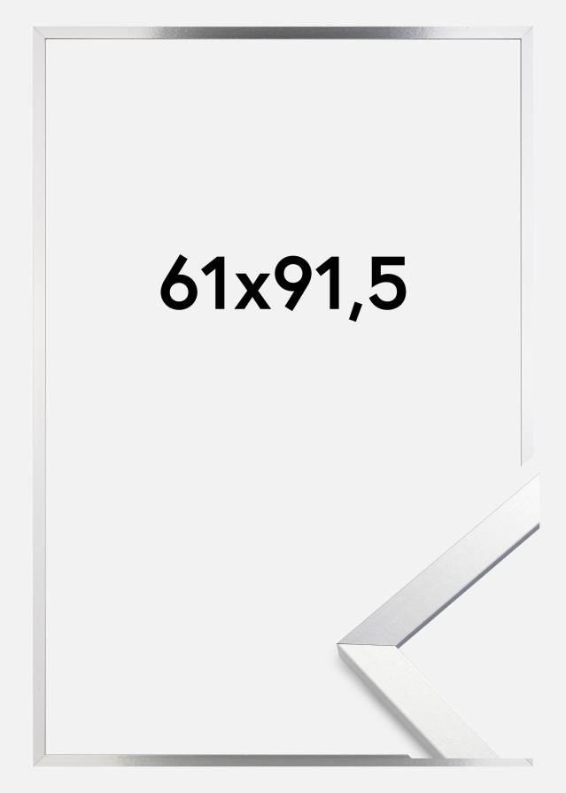 Rama Trendy Szkło akrylowe Srebrny 61x91,5 cm