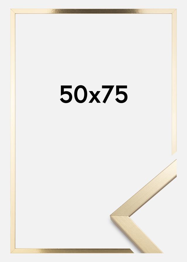 Rama Trendy Szkło akrylowe Złoto 50x75 cm