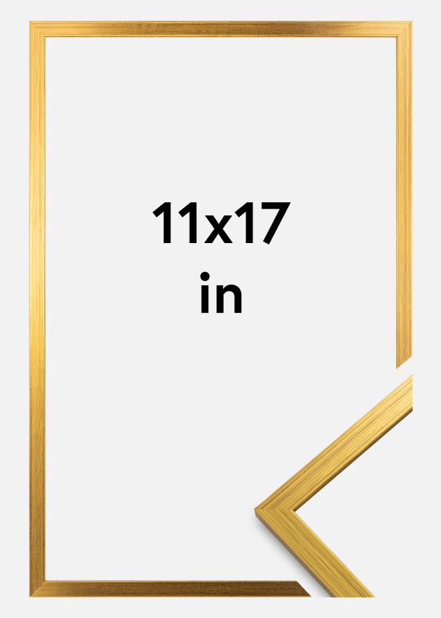 Rama Edsbyn Szkło akrylowe Złoty 11x17 inches (27,94x43,18 cm)