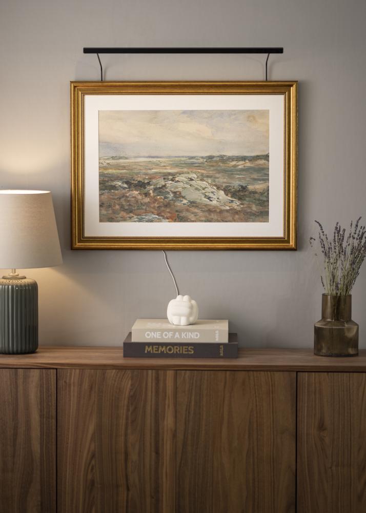 BLP 117 oświetlenie obrazu 65 cm - Czarny