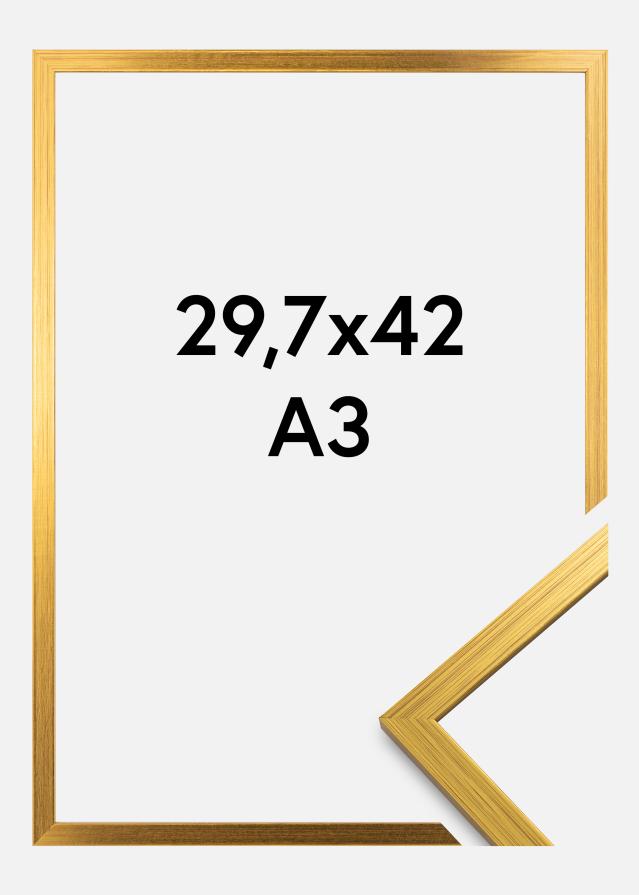 Rama Edsbyn Szkło akrylowe Złoty 29,7x42 cm (A3)