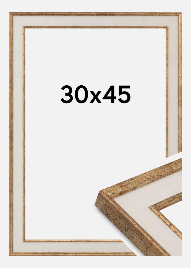 Rama Dolly Szkło akrylowe Złoto 30x45 cm