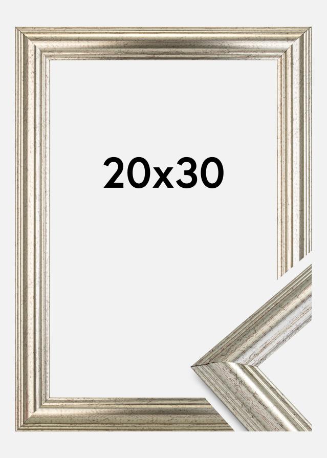 Rama Västkusten Srebrny 20x30 cm