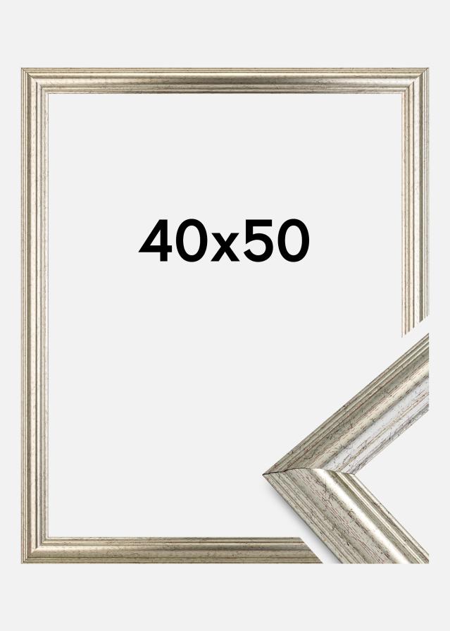 Rama Västkusten Srebrny 40x50 cm