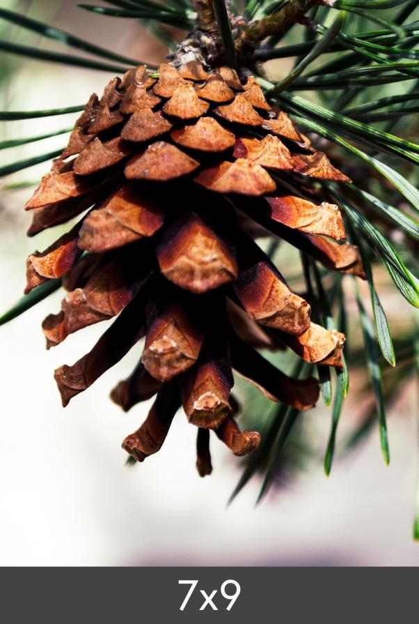 Powiększenie FineArt Bamboo 290 g