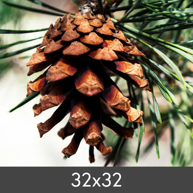 Powiększenie FineArt Bamboo 290 g