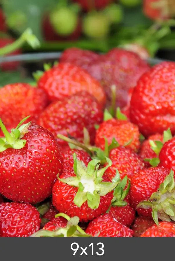 Powiększenie Standard Photo Glossy 290 g