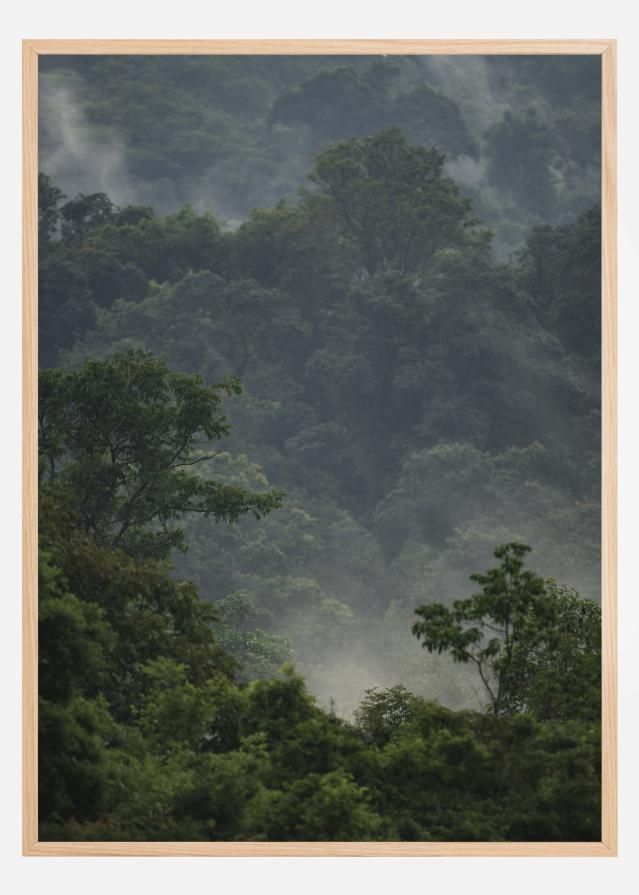 Rainforest Plakat