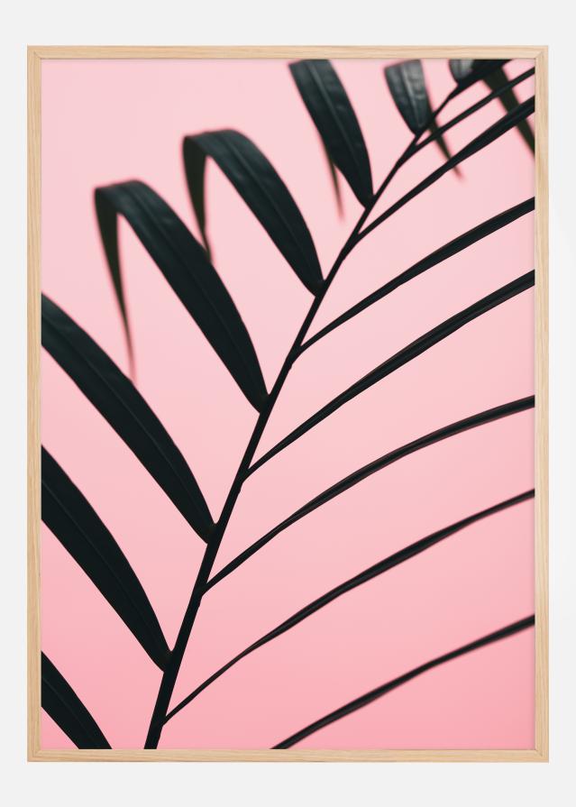 Graphic palm leaf Plakat