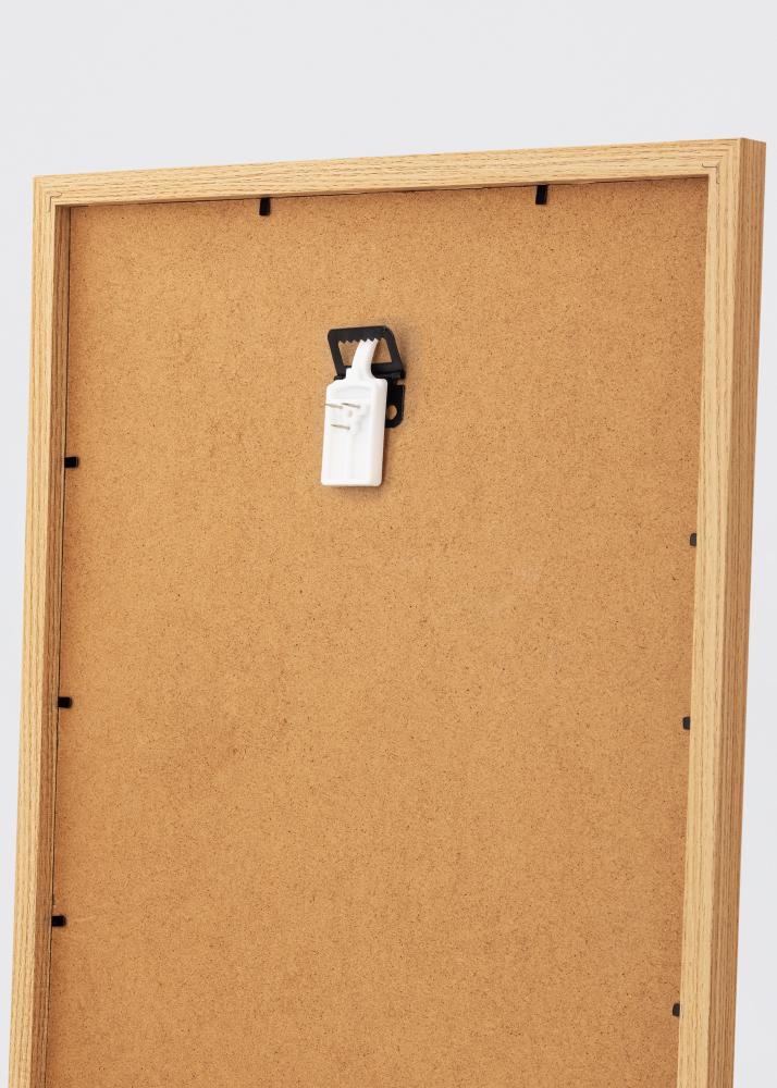 Haczyki do obrazów do wszystkich rodzajów ścian - BGA Haczyk do obrazów 2-p