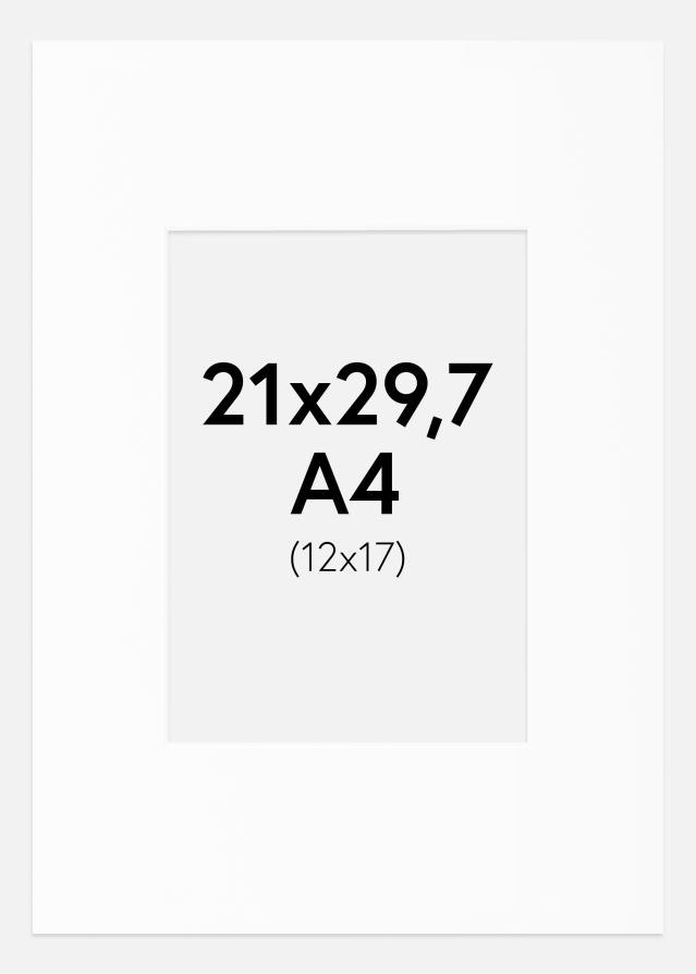 Passe-patrout Canson Biały Biały środek A4 21x29,7 cm (12x17)