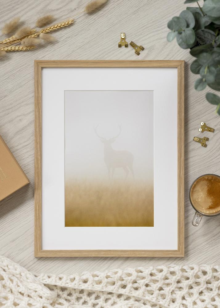 Rama Vemdalen Szkło akrylowe Dąb 40x81 cm