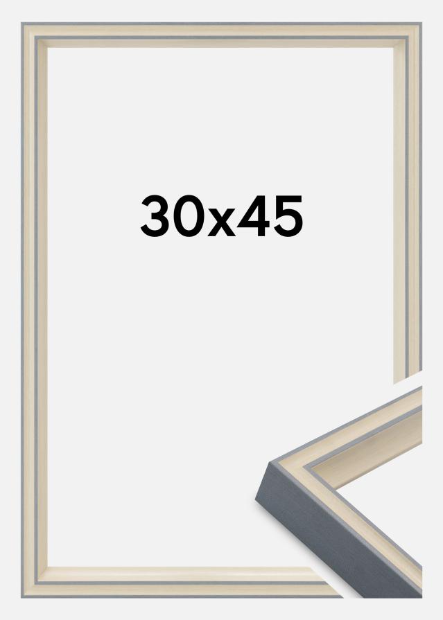 Rama Riga Szkło akrylowe Szara 30x45 cm
