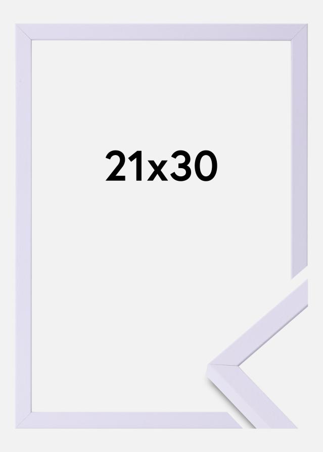 Colorful Szkło akrylowe Fioletowy 21x30 cm