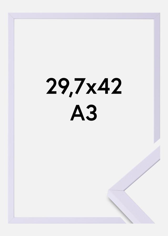 Colorful Szkło akrylowe Fioletowy 29,7x42 cm (A3)