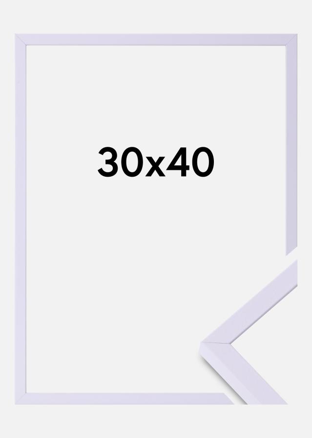 Colorful Szkło akrylowe Fioletowy 30x40 cm