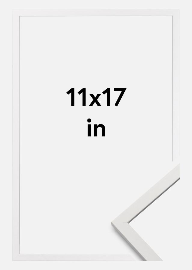 Rama Edsbyn Biały 11x17 inches (27,94x43,18 cm)