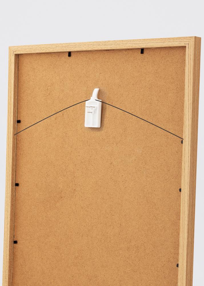 Haczyki do obrazów do wszystkich rodzajów ścian - BGA Haczyk do obrazów 2-p