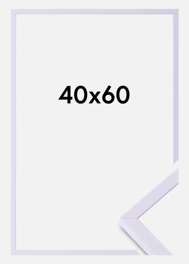 Colorful Szkło akrylowe Fioletowy 40x60 cm