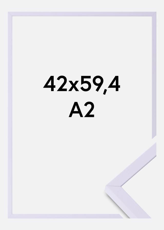 Colorful Szkło akrylowe Fioletowy 42x59,4 cm (A2)