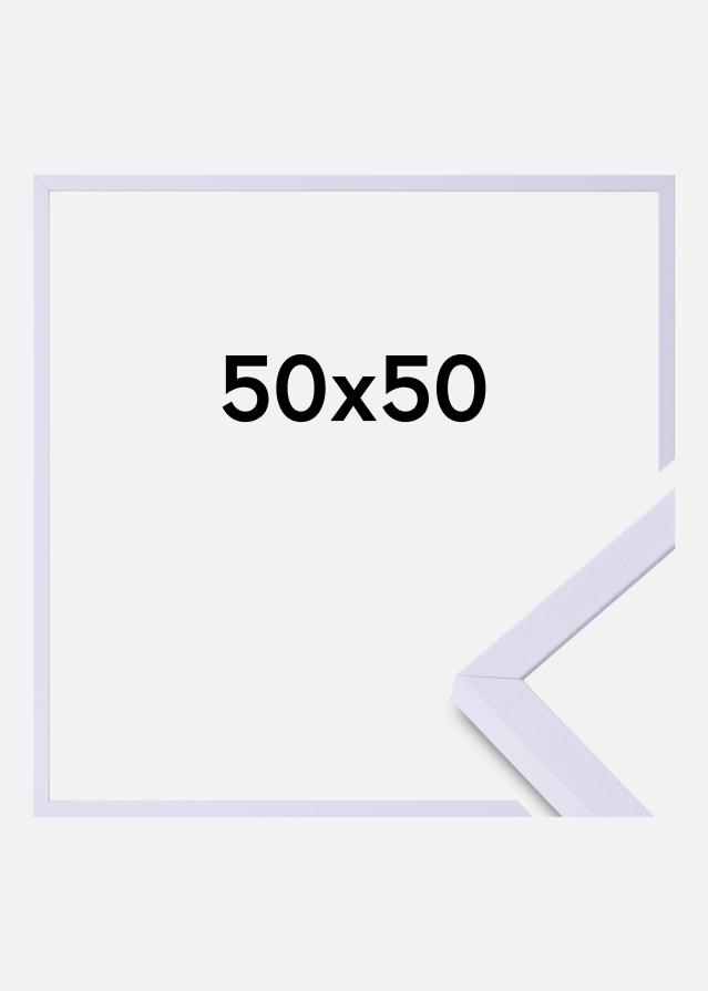 Colorful Szkło akrylowe Fioletowy 50x50 cm