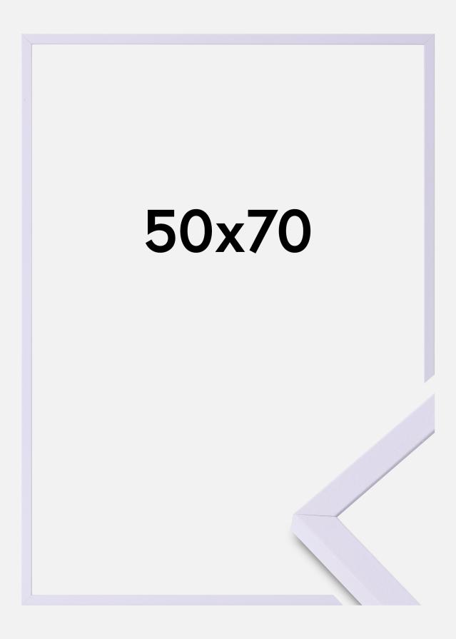 Colorful Szkło akrylowe Fioletowy 50x70 cm