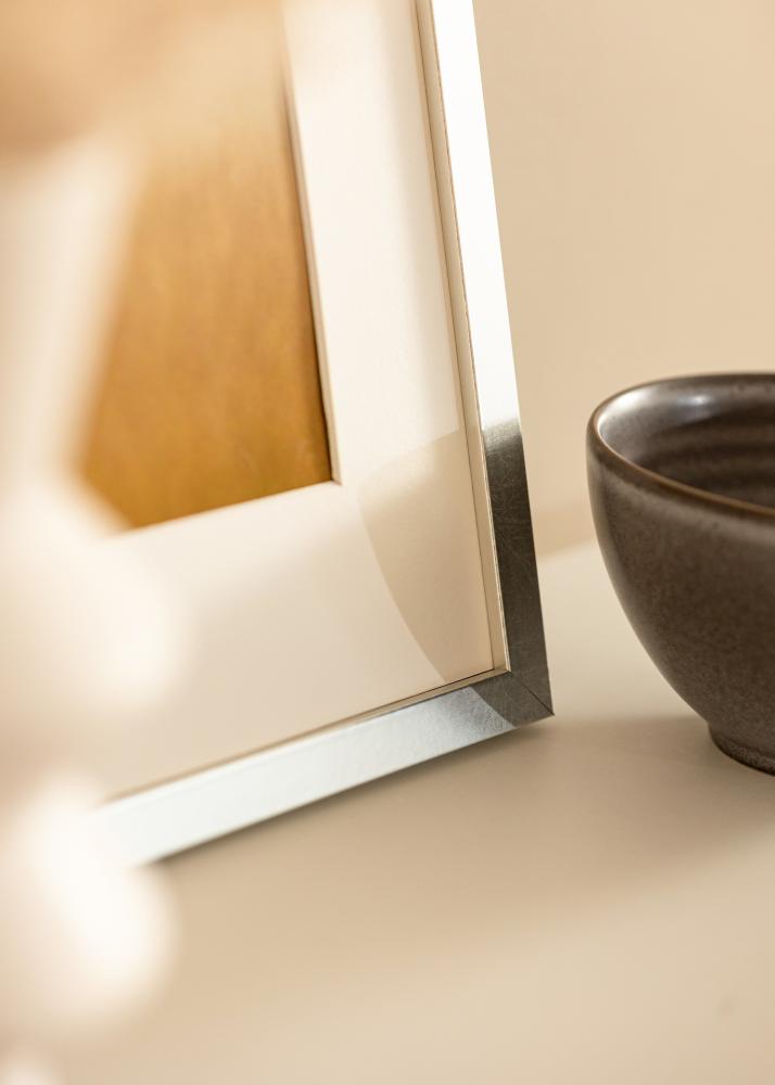 Rama Minerva Szkło akrylowe Srebrny 50x60 cm