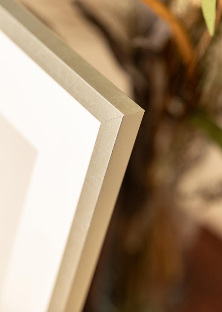 Rama Minerva Szkło akrylowe Srebrny 50x60 cm