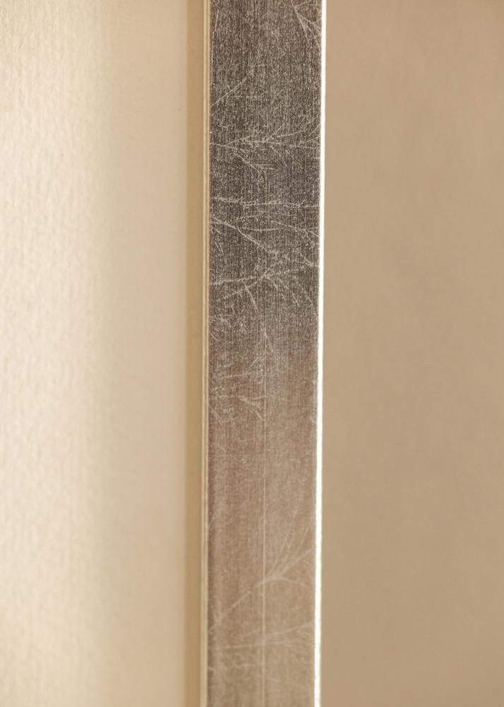 Rama Minerva Szkło akrylowe Srebrny 50x60 cm