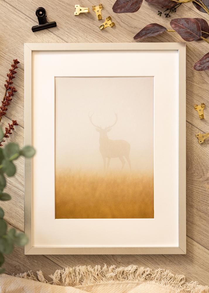 Rama Minerva Szkło akrylowe Srebrny 50x60 cm