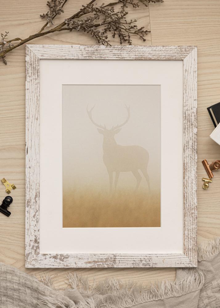 Rama Superb AA 13x18 cm