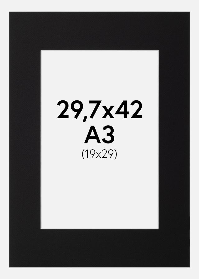 Passe-patrout Canson Czarny Biały środek 29,7x42 cm (19x29)