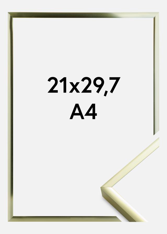 Rama Plakat Frame Aluminum Gold 21x29,7 cm (A4)