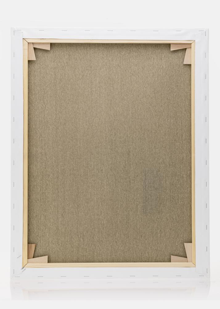 Płótno malarskie Premium Biały 40x50 cm