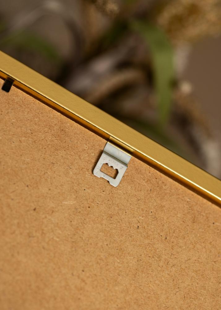 Rama Minerva Szkło akrylowe Złoty 50x60 cm