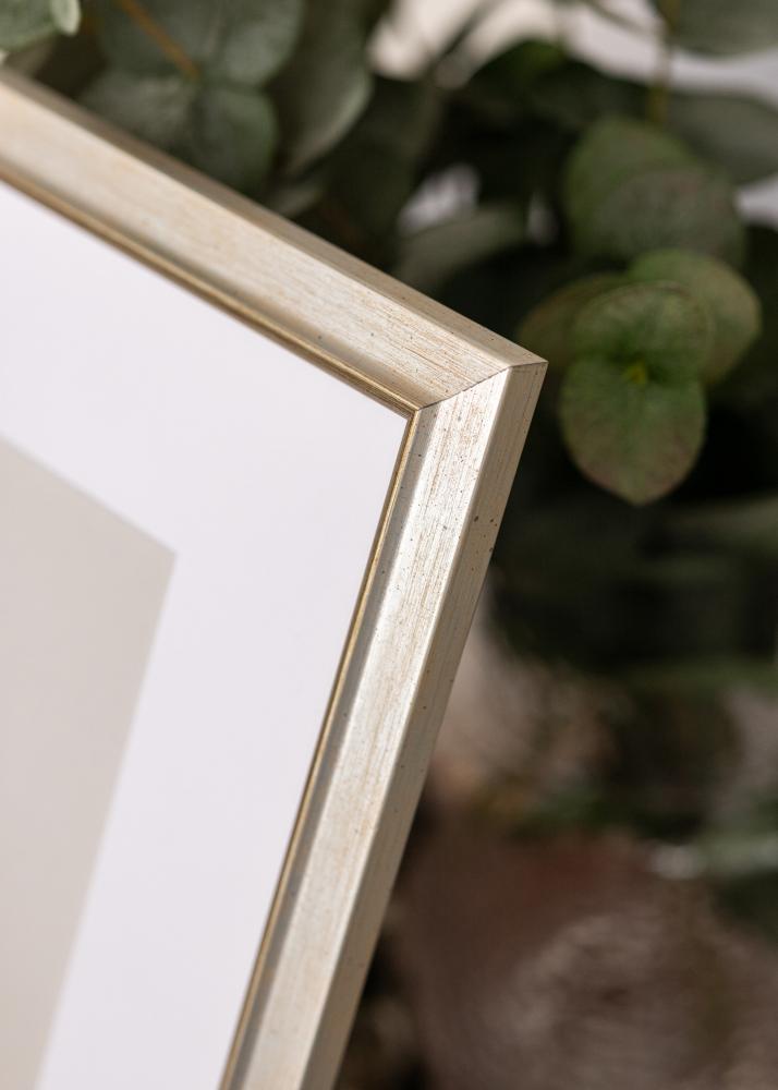 Rama Marisa Akrylglas Srebrny 20x30 cm